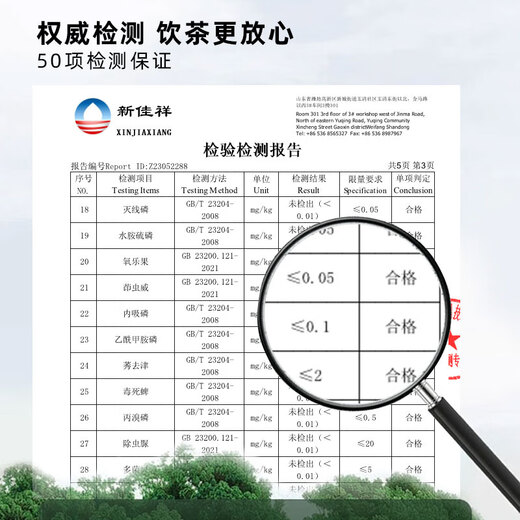 单丛王子抽湿鸭屎香鲜甜凤凰单丛茶潮州凤凰单枞茶茶叶乌龙茶500g