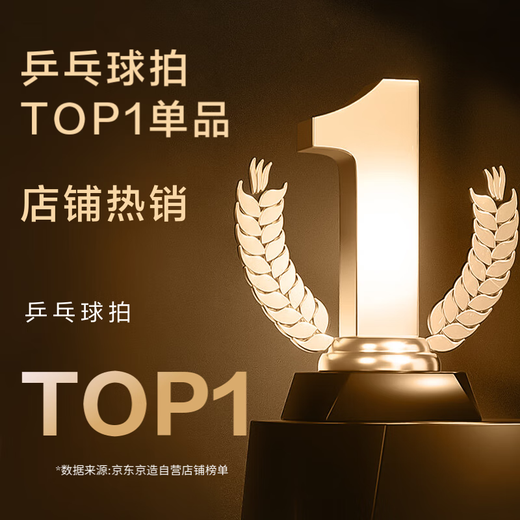 京东京造 雨燕一星乒乓球拍双拍2只装横直对拍训练套装双面反胶1星 横直板