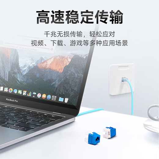 泛达（PANDUIT） 六类网络信息面板模块通用模块面板 蓝色 六类NK688M