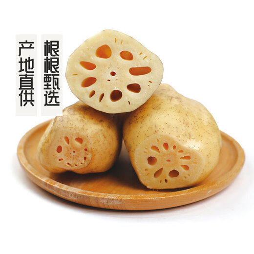 GAP certified seasonal fresh crispy lotus root 500g
