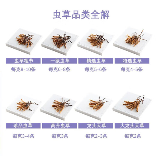 
Upstairs, Hong Kong, China, Cordyceps sinensis gift box, tonic for elderly, children, pregnant women, fresh dry goods in the first period, big dragon head azalea (level) 37.8 grams, eight liang (303g) and half Jin [Jin equals 0.5 kg]