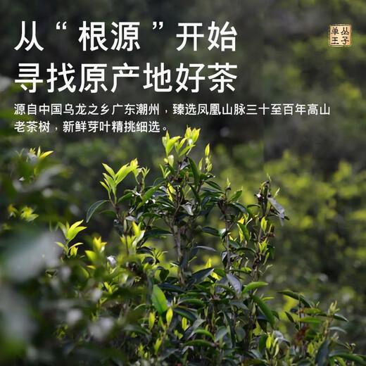 单丛王子抽湿鸭屎香鲜甜凤凰单丛茶潮州凤凰单枞茶茶叶乌龙茶500g