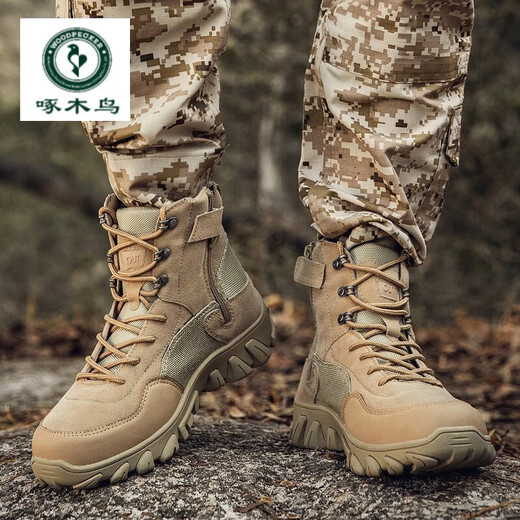Woodpecker Large Size Martin Boots Men's Shoes Breathable Tactical Boots Outdoor Hiking Wear-resistant Training Combat Boots High Top Boots Black 42