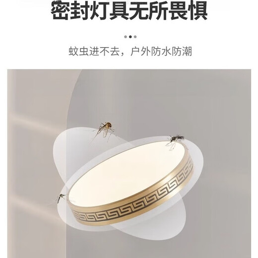 禾灵室外吸顶灯防虫防水进门灯中式别墅全铜超薄入户灯花园露台阳台灯 X3891/圆形40CM/三色可调