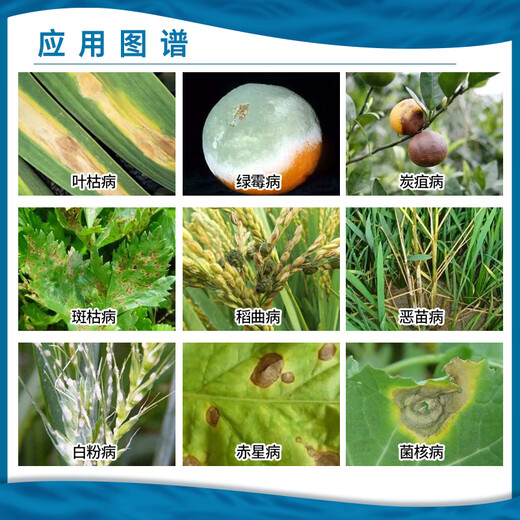 Huifeng Huifeng makes 100g of 25% prochloraz, citrus sclerotium, anthrax, green mold, gibberellus, wilt pesticide and fungicide 1L
