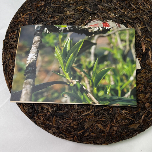 2008 Mengku Rong's Zodiac Rat Cake 900g