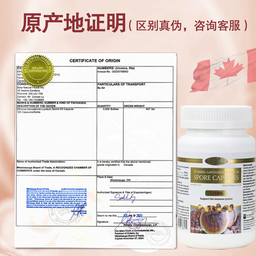 SOTA'S DEDICATION加拿大进口灵芝孢子油软胶囊0.515g*120粒术后营养中老年保健礼品
