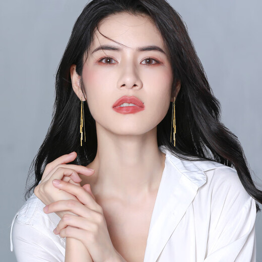 Qlady Tassel Earrings Feminine 925 Silver Needle Earrings Women's Niche Unique High-end Light Luxury Earrings Birthday Gift