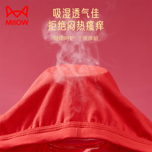 Catman Children's Suit Lucky Big Red Boys' Pure Cotton Underwear for Big Children's Animal Year Red Socks Underwear Gift Box