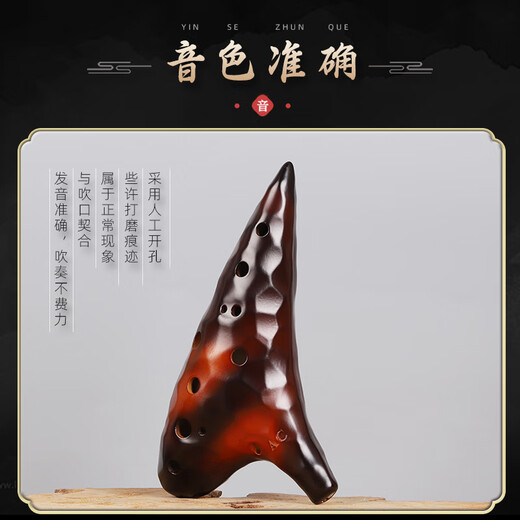 Acacia Bird Ocarina 12-Loch AC Ocarina Professionelle Alt-Tuning-Anfänger-Musikinstrument