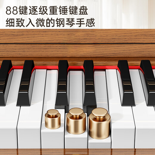 贝琪（Betsy）电钢琴重锤88键成人家用初学者专业考级家用书桌立式翻盖电子钢琴 B367重锤键-木纹棕 高配(琴+学琴礼包+双人琴凳）