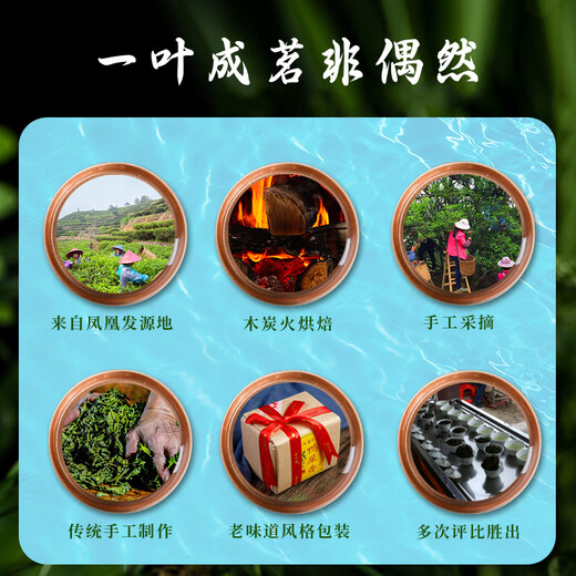 枞大师凤凰鸭屎香单枞茶叶 潮州高山乌龙单从茶