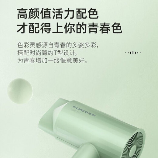 飞科（FLYCO）吹风机家用大功率负离子护发恒温速干FH6296便携宿舍学生用冷热风过热保护大风力电吹风筒配集风嘴 飞科吹风机FH6296+置物支架