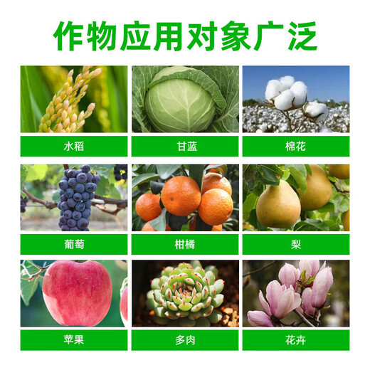 Guoguang Pesticide Naphthalene Acetate Plant Growth Regulator Flower Preservation and Fruit Preservation Medicine Prevent Fruit Falling Fruit Tree Flower and Fruit Treasure Fruit Setting 100ml*10 Bottles
