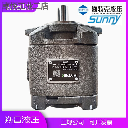 Hytec internal gear pump HG1-25/32/40/50/63-01R injection molding machine servo high pressure oil pump HG1-25-01R-VPC