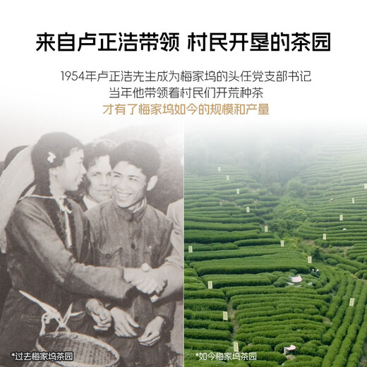 卢正浩新茶绿茶梅字西湖龙井茶特级100g明前茶叶礼盒梅家坞父亲节送礼