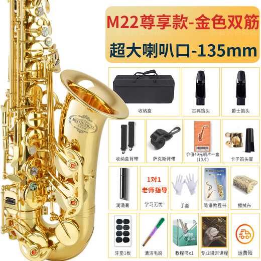 Angel of Sound E-flat alto saxophone instrument wind pipe for adult beginners, professional performance exam model recommended by big players M22-gold | Upgraded double ribs + double mouthpieces | + teaching