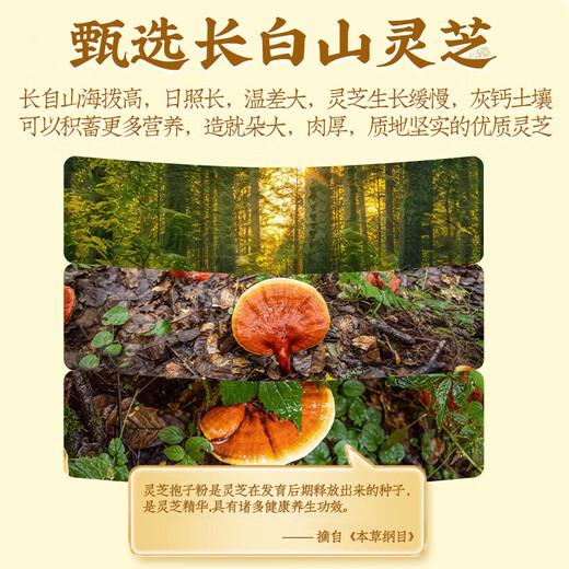 Nanjing Tongrentang Nanjing Tongrentang Ganoderma lucidum spore powder broken wall Ganoderma lucidum spore powder Ganoderma lucidum spore powder Ganoderma lucidum powder Linzhi broken wall spore powder Enhance immunity Gift bag [30 bags * 3 boxes]