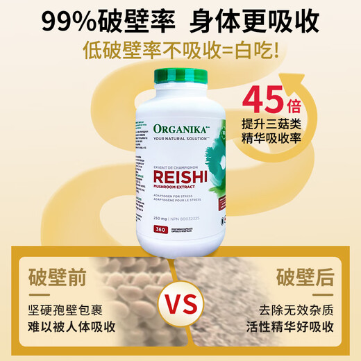 Organika Canadá Importada Organika Breaking Wall Ganoderma Spore Cápsulas de polvo Polvo Rojo Ganoderma Lucidum Esencia 360 Cápsulas para personas de mediana edad y ancianos