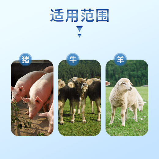 Male animal husbandry cloth combined with Zhizhi brucellosis to prevent ewe abortion, weak fetus and calf loss, veterinary feed additive for pigs, cattle and sheep 12 bags, most purchased