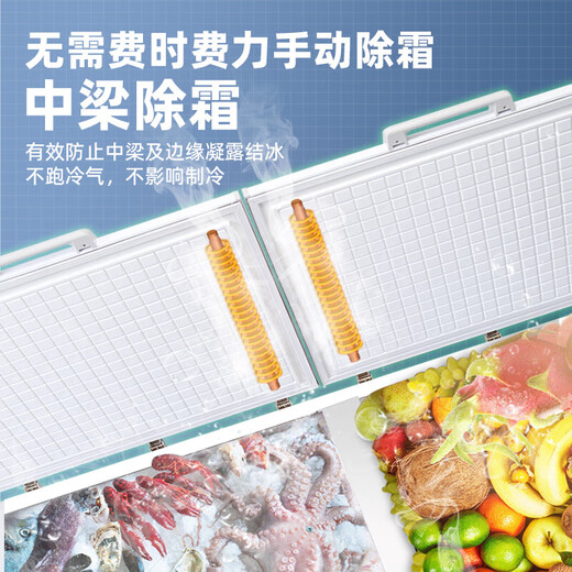 穗凌（SUILING）冰柜商用冷柜卧式单温冷冻柜冷藏冷冻可转换海鲜肉类家用顶开门大容量超市餐饮厨房保鲜冰柜 BD-828丨-25℃丨长2.2米丨828升