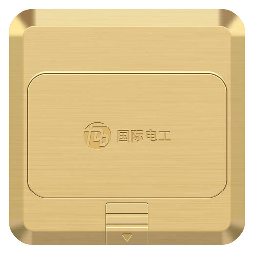 国际电工慢弹式地插座全铜防水阻尼隐藏弹起式五孔地插地面防水地板插 五孔【全铜-阻尼】