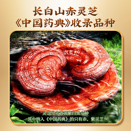 北京同仁堂破壁灵芝孢子粉60g礼盒装长白山灵芝粉成人中老年人增强免疫力保健品蓝帽营养品