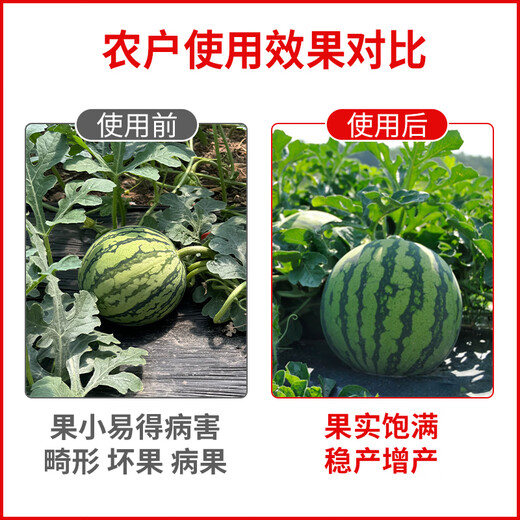 Jinzhengda calcium and magnesium water-soluble fertilizer with medium amount of elements for fruit trees and vegetables to prevent hollow cracked fruit deformity, fruit expansion and fruit strengthening fertilizer calcium and magnesium for fertilization 5L