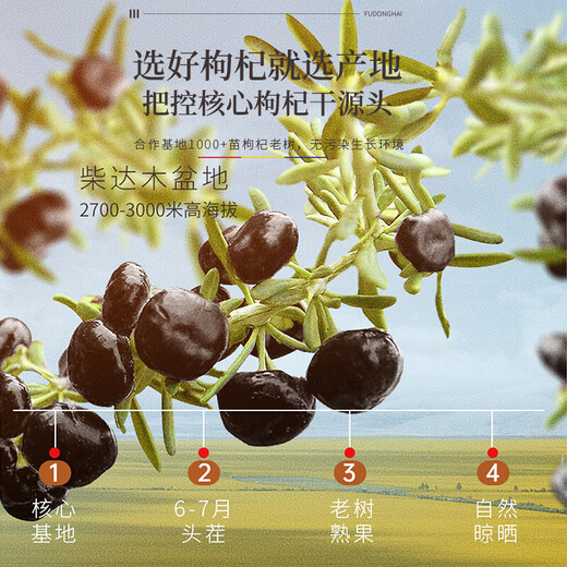 
Fudonghai Black wolfberry 250g Selected authentic middle fruit Qinghai Qaidam with mulberry safflower tea Nutritious and health tea