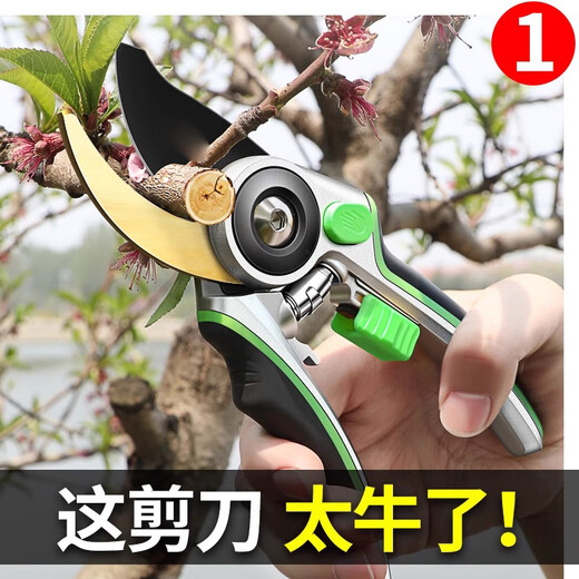 Mi Ling Gardening Pruning Scissors Fruit Tree Branches Garden Flower Branches Floral Scissors Pruning Shears Fruit Picking Artifact A 12 Inch Gold Armor SK5 Steel Luxury Model