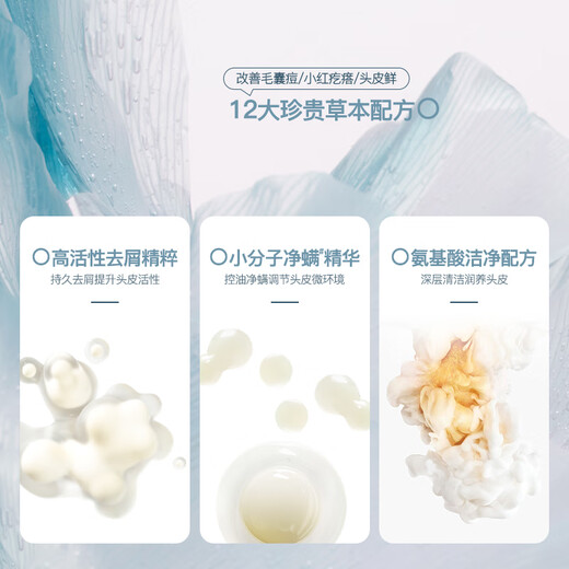 Mo Rui Murrayle Limpieza del cuero cabelludo y eliminación de ácaros Folículos capilares de la limpieza Control de aceite Anti-itch alivio del champú de limpieza de acné 500ml