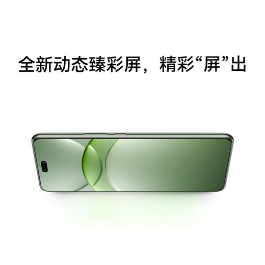 华为（HUAWEI）nova13 Pro  512GB 羽砂紫 前后多焦段人像 鸿蒙智能曲面屏手机 移动补贴+国家补贴