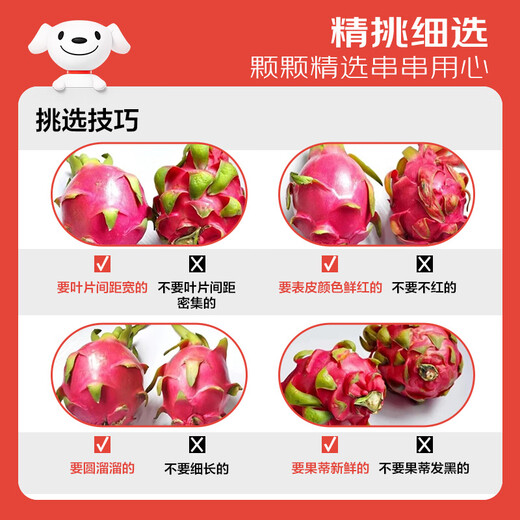 Jingxiansheng Red Heart Dragon Fruit Extra Large Fruit 4 pieces, single fruit 400g, net weight 3.2Jin Jin equals 0.5kg fresh fruit