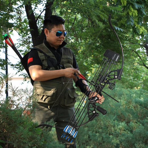 Huwairen Bow and Arrow Recurve Bow and Arrow Competencia de adultos Archery Profesional Disparo Aleación Aleación Disparo Paíces ajustables 20-55 libras Paquete primario de arco liso de arco liso ajustable