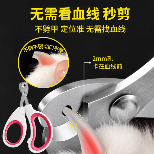 Yile Pet Cat Grooming Special Comb and Brushes Cat Supplies Collection Nail Clipper Cat Gloves Cleaning Dog Hair Remover Artifact Nail Clipper