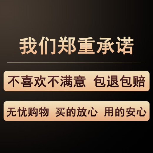 Shunjixiangli modern simple electric meter box decorative painting push-pull-free punch-punch living room multimedia electric box hanging painting switch restaurant mural JD12033 bright future 55*45cm (block 45*35) left push-pull black frame
