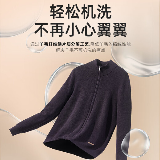 雅戈尔（YOUNGOR）毛衫男士秋冬青年男毛衫拉链开衫羊毛衫羊毛混纺面料2色合款 深灰VWHW619967CLA L 105c