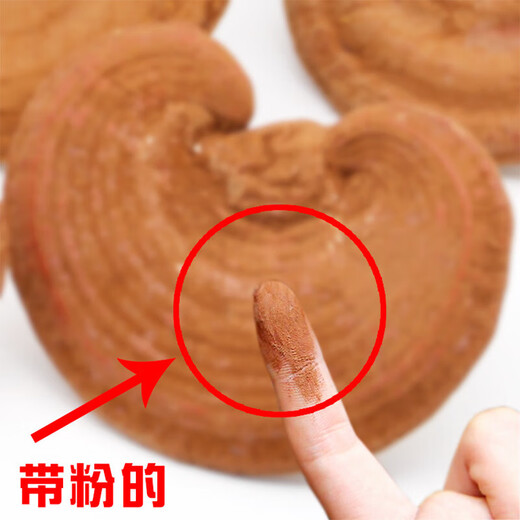 长白山灵芝 灵芝片 灵芝孢子粉 泡酒煲汤泡水林芝片 吉林含带孢子粉赤芝 【250克】