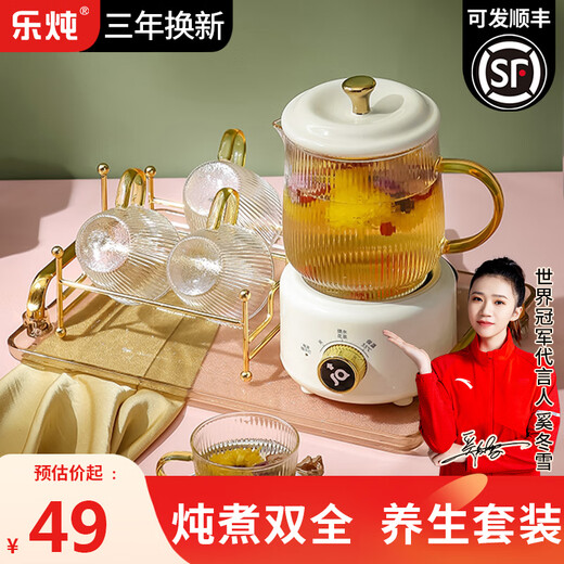 Le Stew health pot mini office teapot for one person small tea kettle all-glass electric cup boiling water kettle 55 degrees electric stew health cup gift portable flower teapot white 0.6L + gift box (without cup)