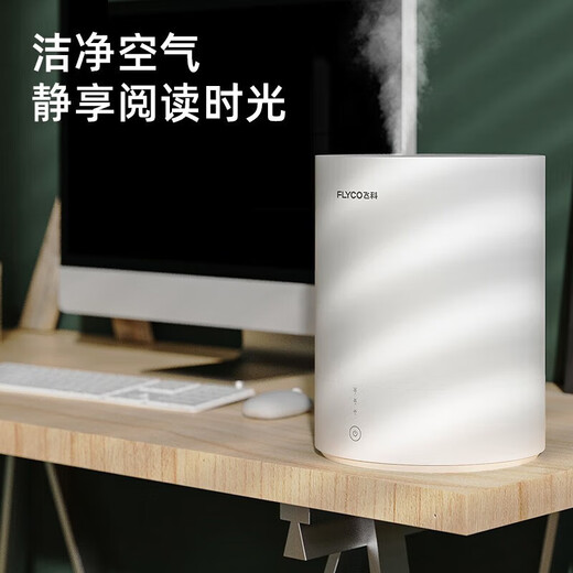 Borui Feike Humidificateur Chambre Light Voice Baby Office Bureau de grande capacité Ménage MINI Purification d'air de brouillard élevé 4L IVORY WHITE HUMIDIFICATION 10-12 HEURES FH9207