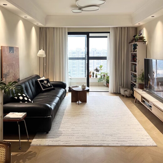 Cartifiya waterproof, non-slip and anti-stain living room carpet Xinsongxue 240*340cm light luxury style