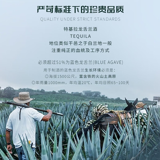 欧帅【世界烈酒大赛双金奖】墨西哥原瓶进口咖啡力娇酒龙舌兰洋酒微醺 杏仁龙舌兰 1瓶 750mL