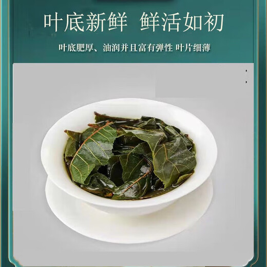 江西修水正宗野生青钱柳原叶茶清钱柳金钱柳茶中草药材养生茶 500年野生青钱柳原叶500克 500年正宗野生青钱柳原叶茶