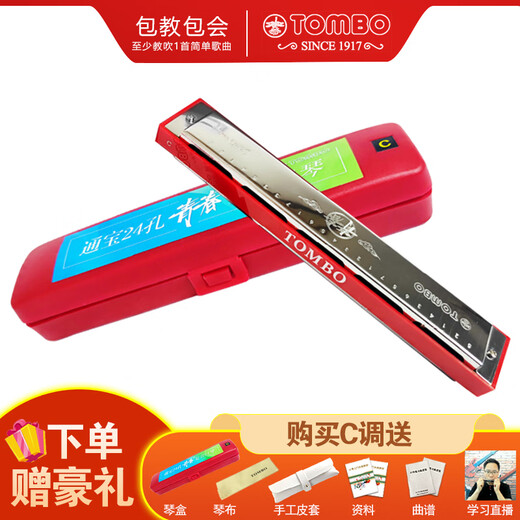 通宝（TOMBO）青春系列24孔复音口琴儿童学生成人新手初学者入门进阶乐器 6624Q 24孔#A调-改金属格-银色