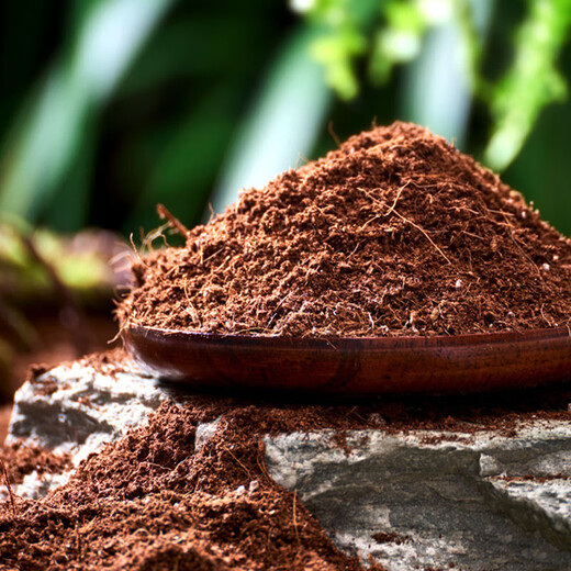 Manlife 16L nutritional soil comes with 2 fertilizers, 1 seed and 1 potion, flower soil, universal flower soil, flower cultivation soil, organic vegetable soil