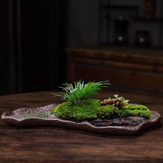 盆景盆苔藓吸水石盆器盆景盆长方形菖蒲假山上水石水培紫砂陶瓷底 盆景盆2677 陶瓷 大