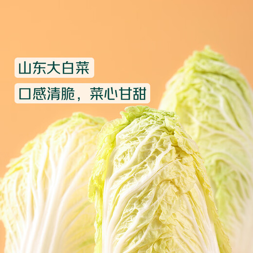 Qixian Cabbage and Pork Dumplings 504g (24 pieces)