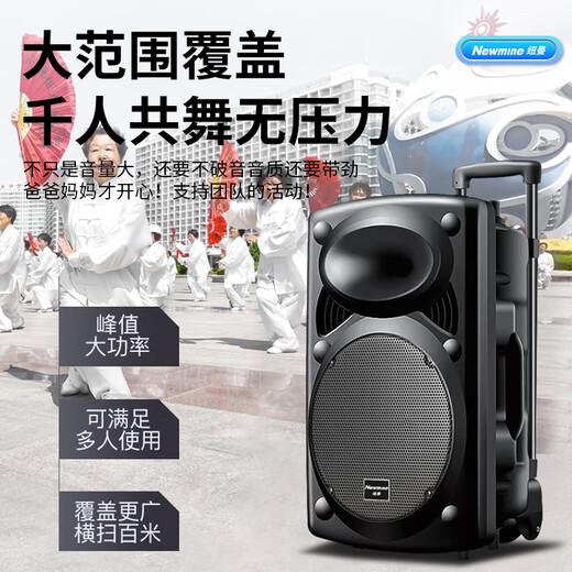 Newman B12 Square Dance 12-inch Outdoor High Volume Bluetooth Trolley Speaker Portable Electric Acoustic Guitar Singing Instrument Speaker Performance K Song Subwoofer Floor Stall Speaker Adapter