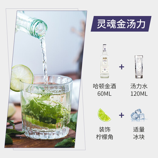 FAST.KING Gin and Wine Gin and Tonic Mélange de base de gin Liqueur 700 ml Boîte entière abordable 700 ml 12 bouteilles