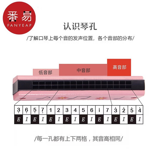 番易10Y口琴/儿童A1P50-创意礼物口风琴木质初学者入门吹奏乐器小学生 木质黄色水果+迷你口琴